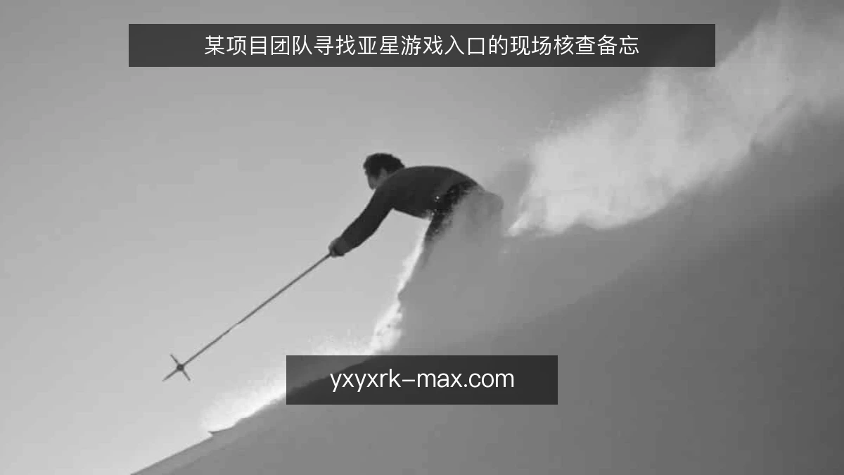 某项目团队寻找亚星游戏入口的现场核查备忘
