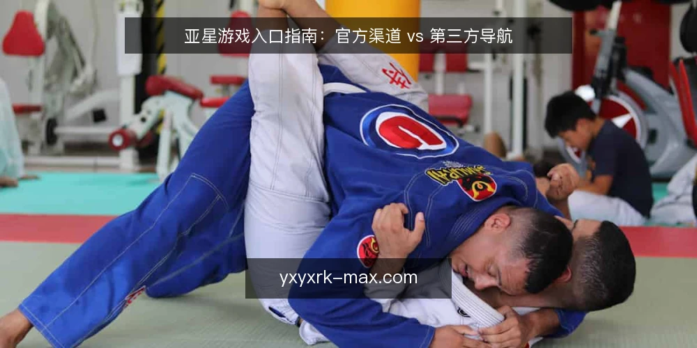 亚星游戏入口指南:官方渠道 vs 第三方导航 — 为什么现在需要重新审计入口选择 配图