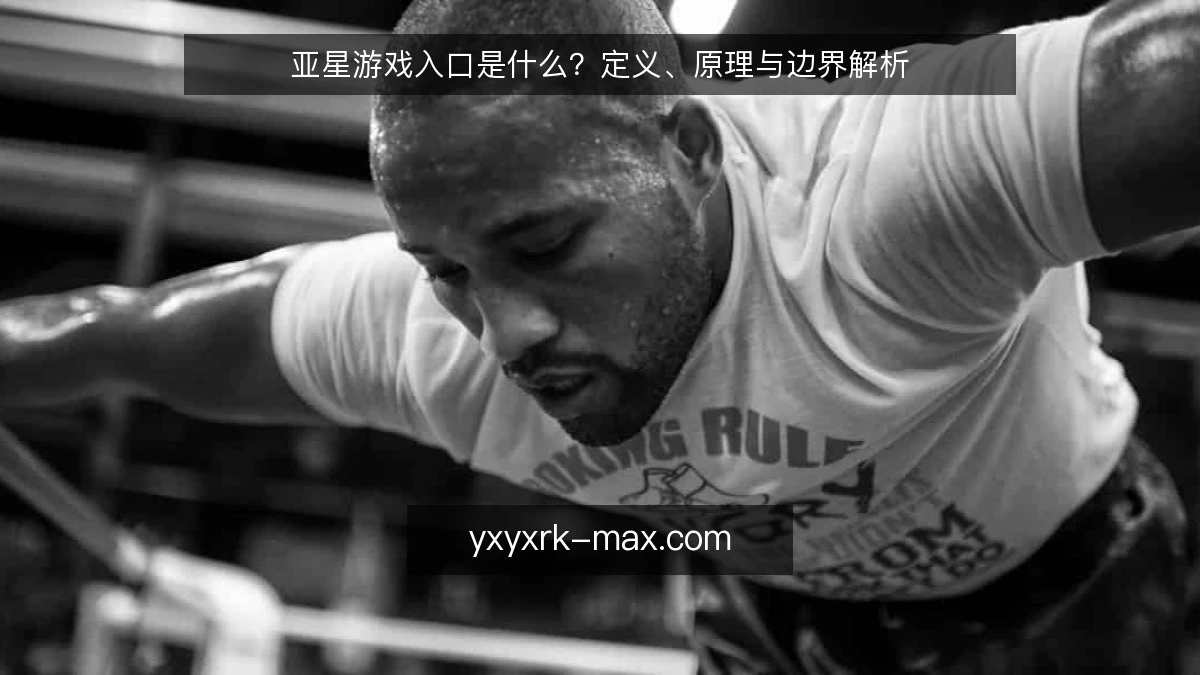 亚星游戏入口是什么？定义、原理与边界解析
