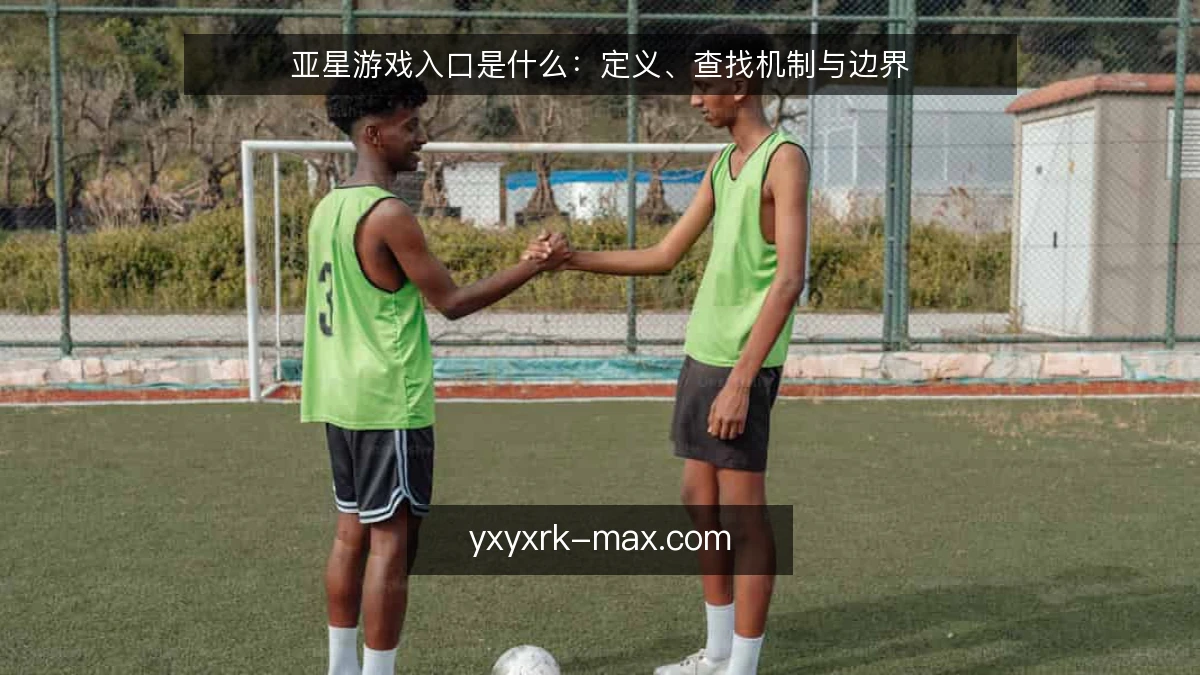 亚星游戏入口是什么:定义、查找机制与边界