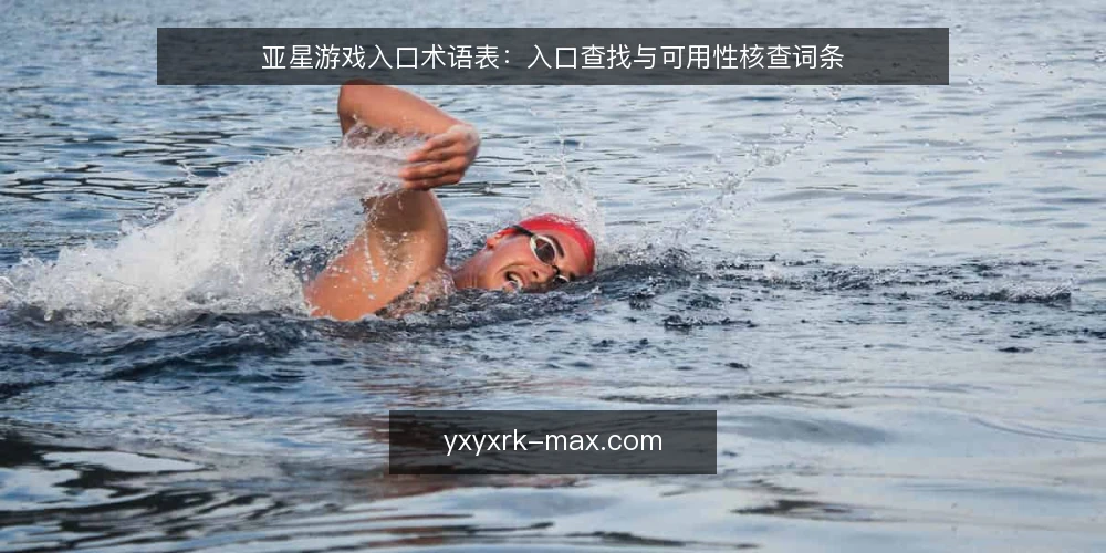 亚星游戏入口术语表:入口查找与可用性核查词条 — 为什么现在做术语审计 配图